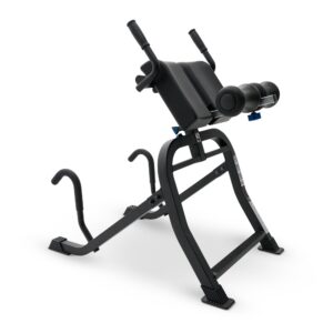 Teeter DEX II