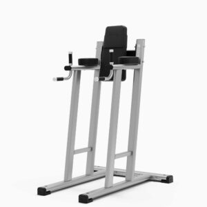Exigo Leg Raise / Dip Station