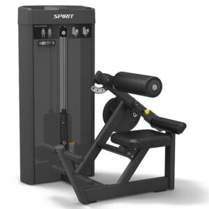 Spirit Back Extension 43 Series