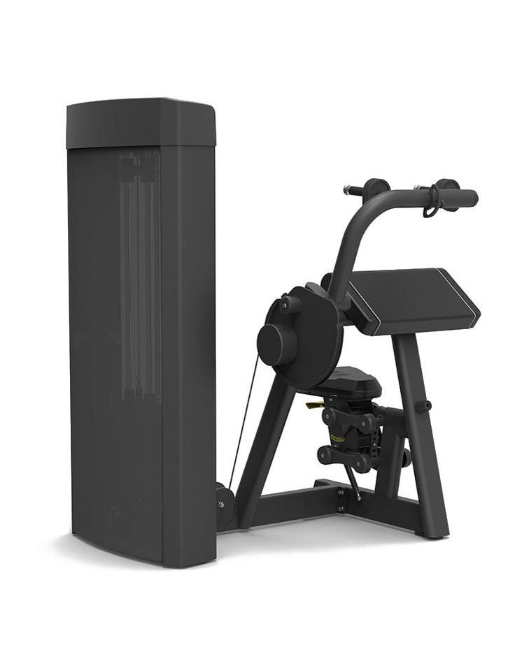 Spirit Tricep Extension 43 Series - Image 3