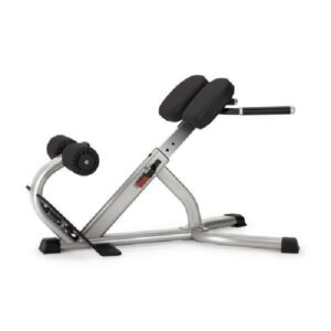 Nautilus Instinct 45Degree Back Extension