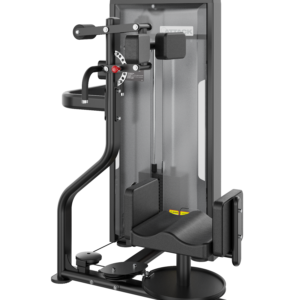 Attack Fitness Rotary Torso