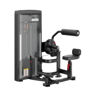 Attack Fitness Abdominal/Back Extension Dual Machine