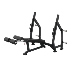 Attack Fitness Olympic Decline Bench