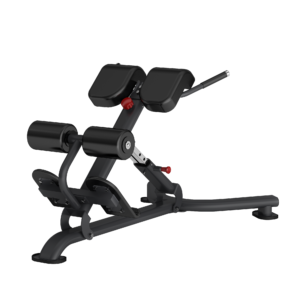 Attack Fitness Back Extension