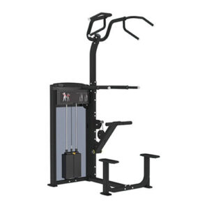 GymGear Pro Series Assisted Chin / Dip