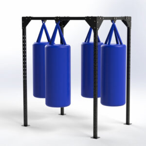 Trigon Boxing Bag Rig