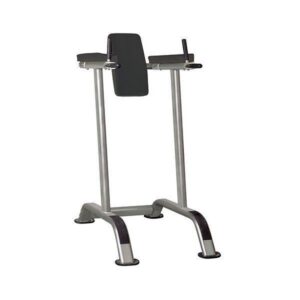 GymGear Sterling Series Vertical Knee Raise