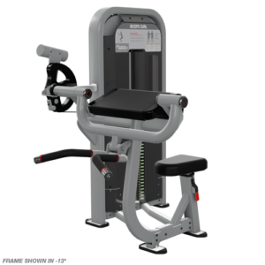 Nautilus Impact Biceps Curl