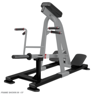 Nautilus Plate Loaded Incline Lever Row