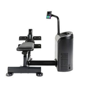 Spirit iStrength Low Row