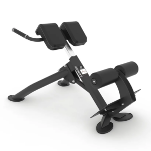 Spirit Back Extension Bench