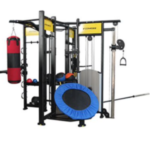 GymGear Spartan Studio Rig / Functional Training Rig