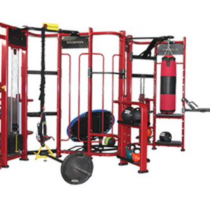 GymGear Spartan Club Rig / Functional Training Rig
