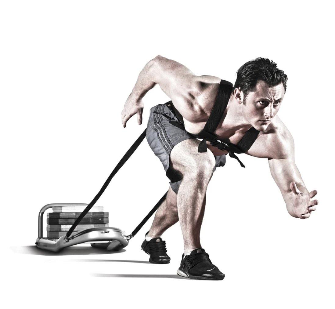 Jordan Performance Sled - Image 2