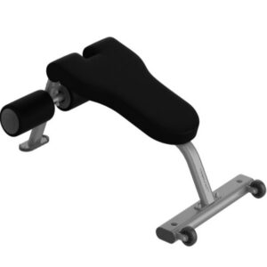 Life Fitness Axiom Series Abdominal Bench
