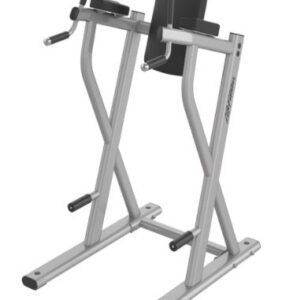 Life Fitness Axiom Series Dip / Leg Raise
