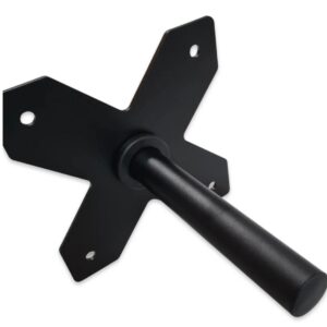 Swiss Barbell X Weight Horn