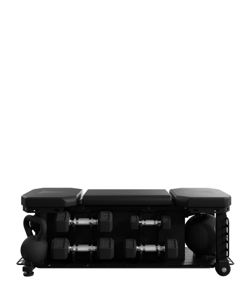 Nautilus Throwdown FXD Bench - Image 4