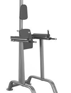 GymGear Elite Series Chin Dip and Knee Raise Frame