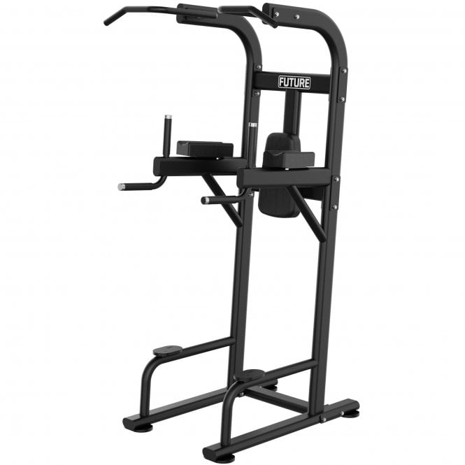Future Elite Series Commercial Vertical Knee Raise / Chin Dip Frame