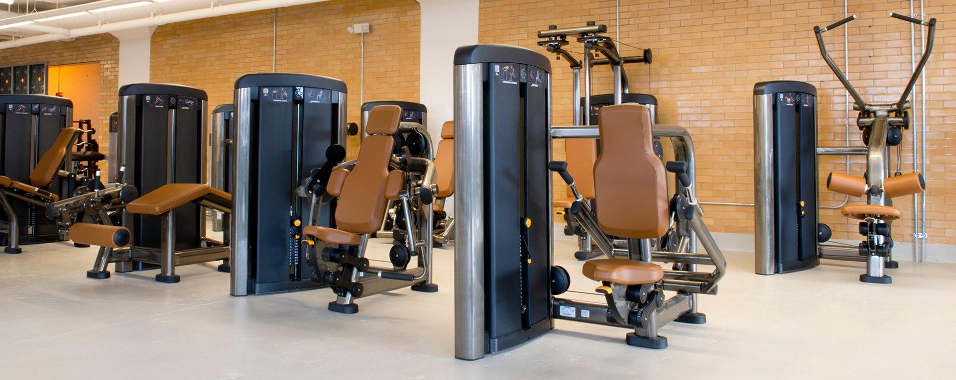 Life Fitness Insignia Series Pectoral Fly Selectorised - Image 5