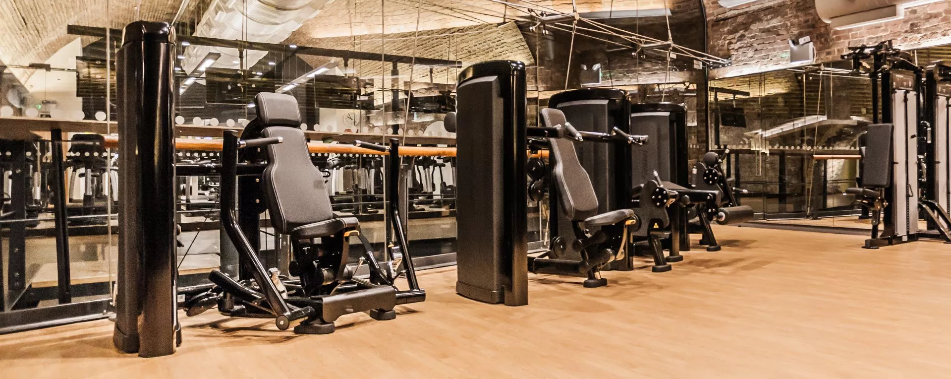 Life Fitness Insignia Series Biceps Curl Selectorised - Image 5