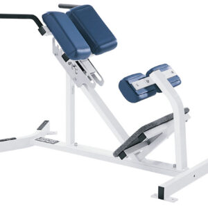 Hammer Strength Back Extension
