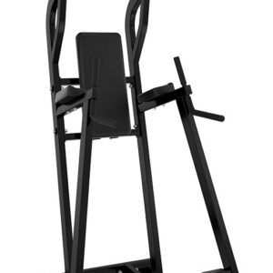 Hammer Strength Chin/Dip/Leg Raise
