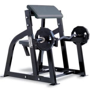 Hammer Strength Seated Arm Curl