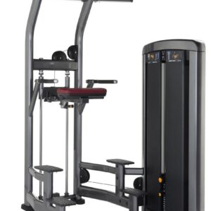 Life Fitness Insignia Series Assist Chin Dip Selectorised