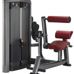 Life Fitness Insignia Series Back Extension Selectorised