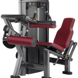 Life Fitness Insignia Series Seated Leg Curl Selectorised