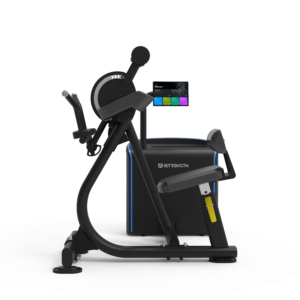 Spirit iStrength Bicep Curl / Tricep Extension