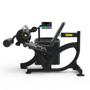 Spirit iStrength Leg Extension / Leg Curl