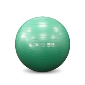 Physical Company Pro Stability Ball