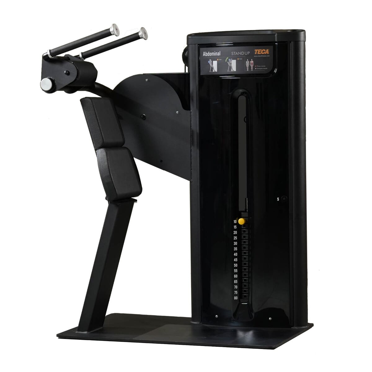 TECA Stand Up Abdominal Machine - Image 2