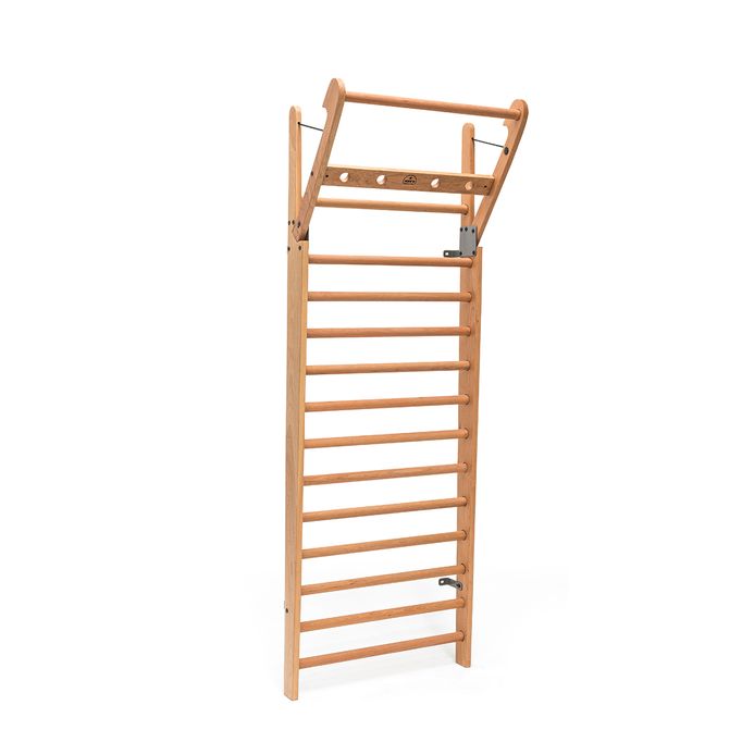 Waterrower NOHrD Wallbars - Image 6